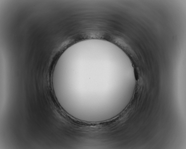 X0000087320306200704200745