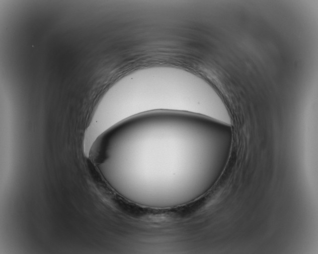 X0000087320307200704200745