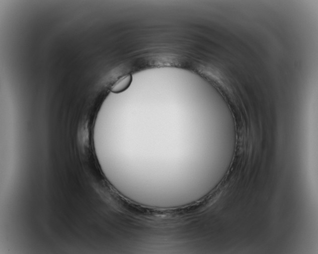 X0000087320310200704200745