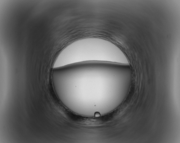 X0000087320315200704200745