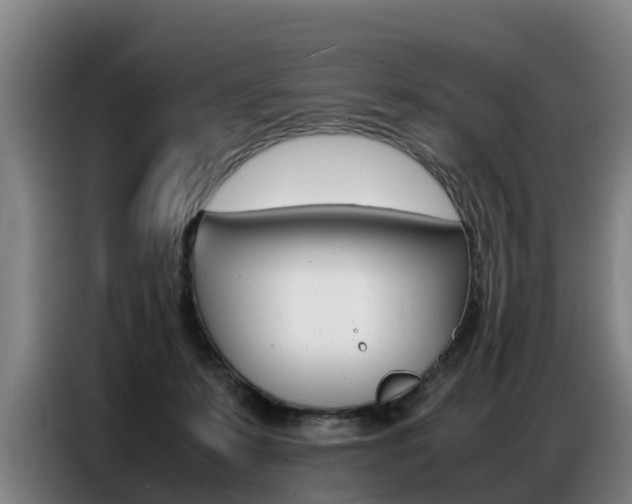 X0000087320319200704200744