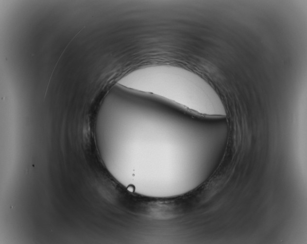 X0000087320320200704200744