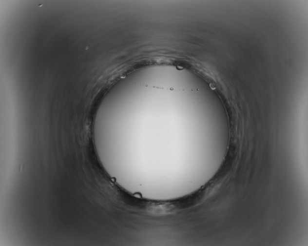 X0000087320321200704200744