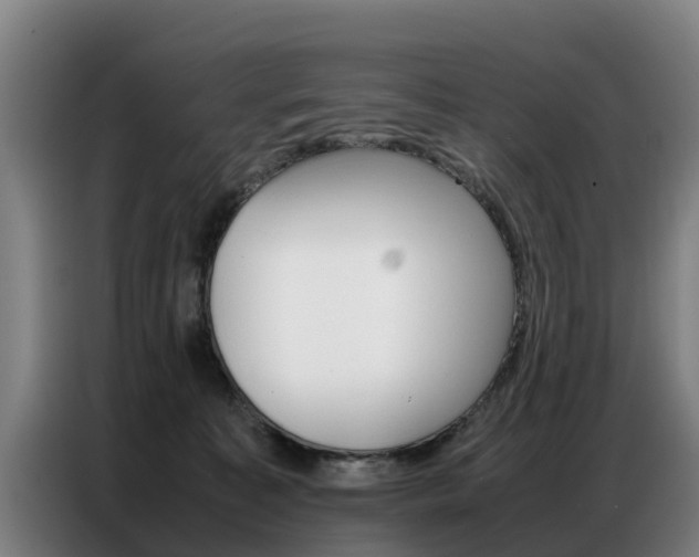 X0000087320323200704200744