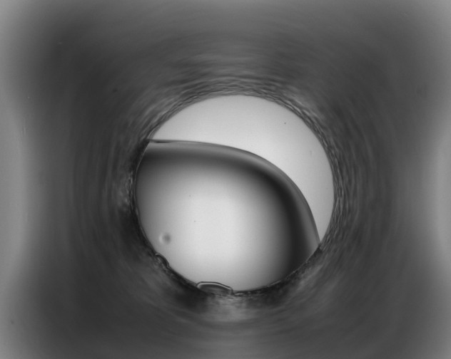 X0000087320325200704200744