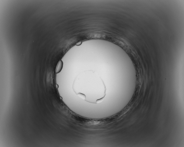 X0000087320326200704200744