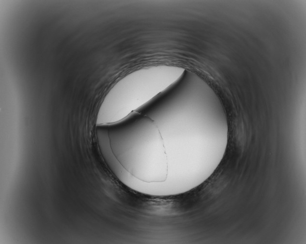 X0000087320328200704200744