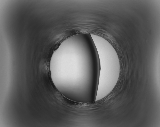 X0000087320329200704200744
