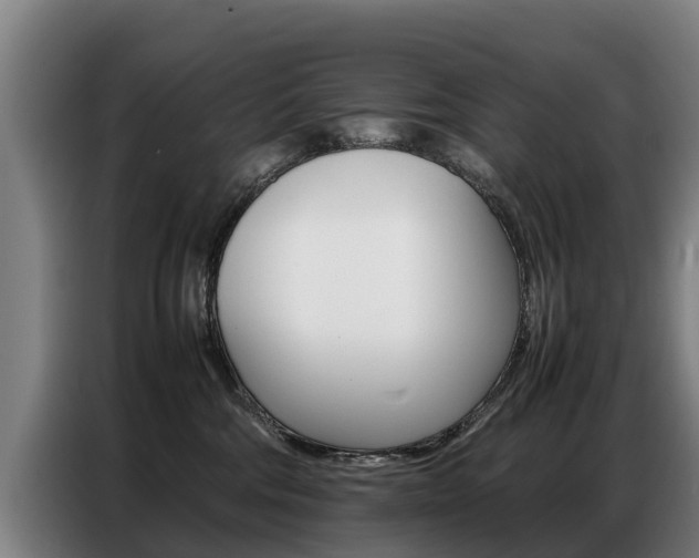 X0000087320330200704200744