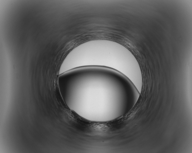 X0000087320333200704200744