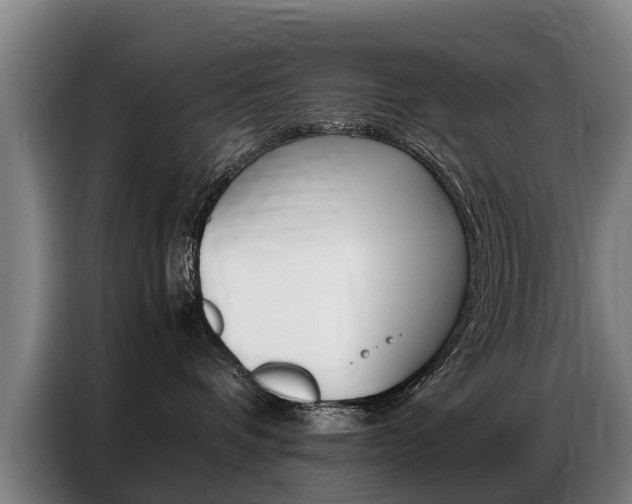 X0000087320336200704200744
