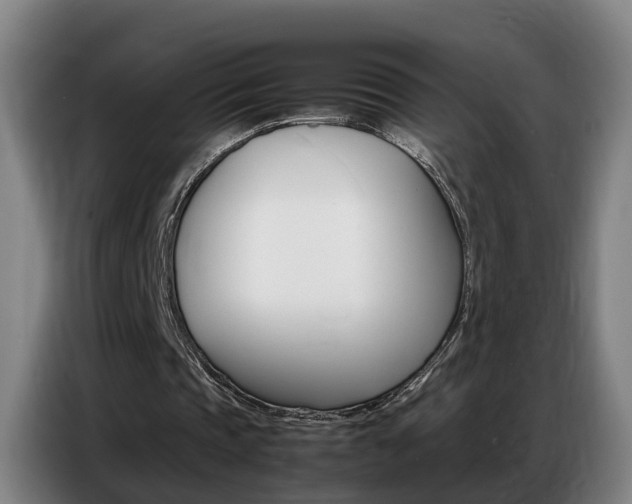 X0000087320337200704200744