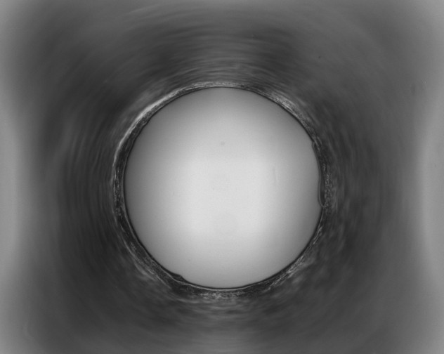 X0000087320338200704200744
