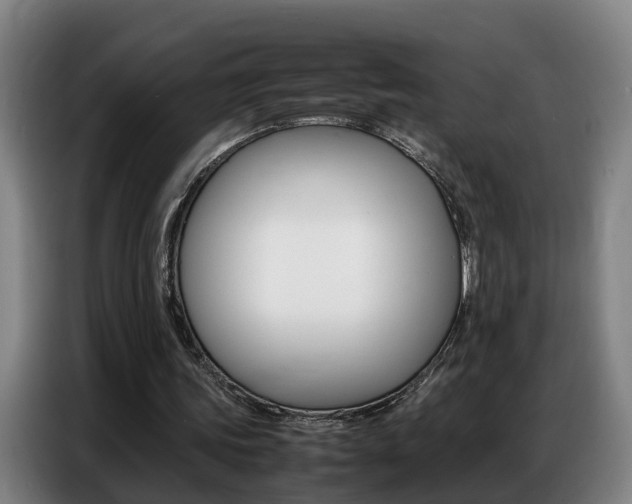 X0000087320339200704200744