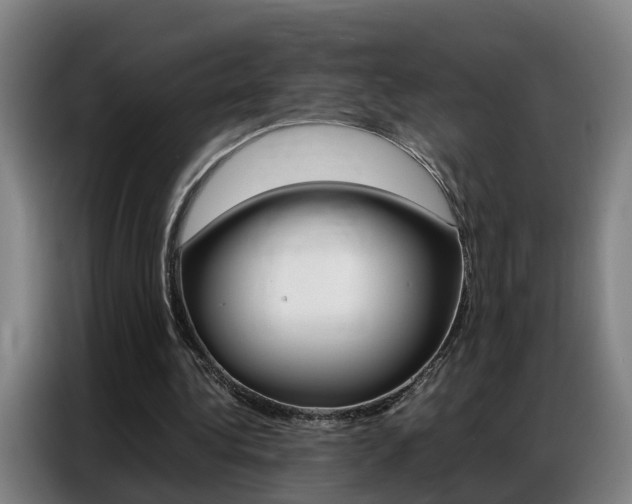 X0000087320340200704200744