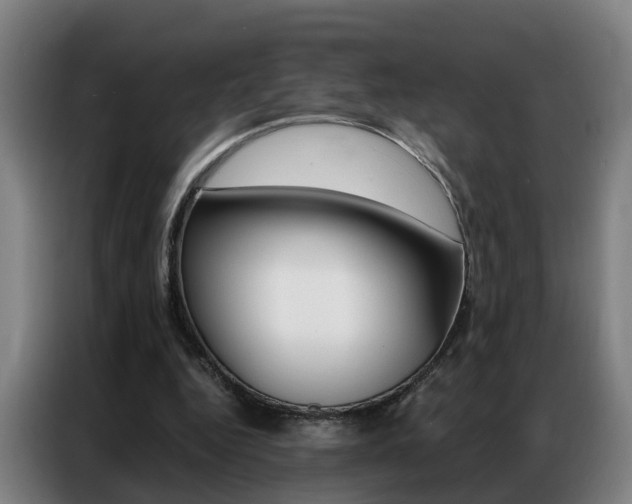 X0000087320344200704200744