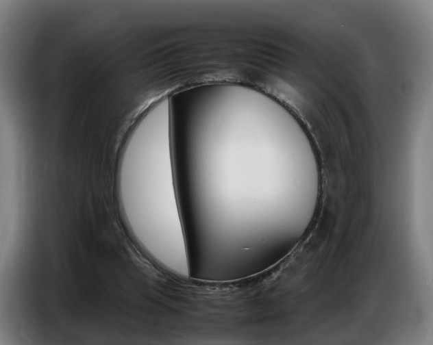 X0000087320345200704200744