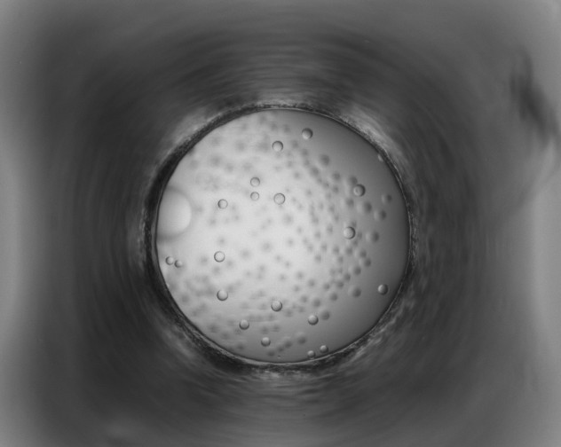 X0000087320346200704200744