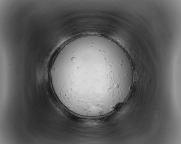 X0000087320347200704200744