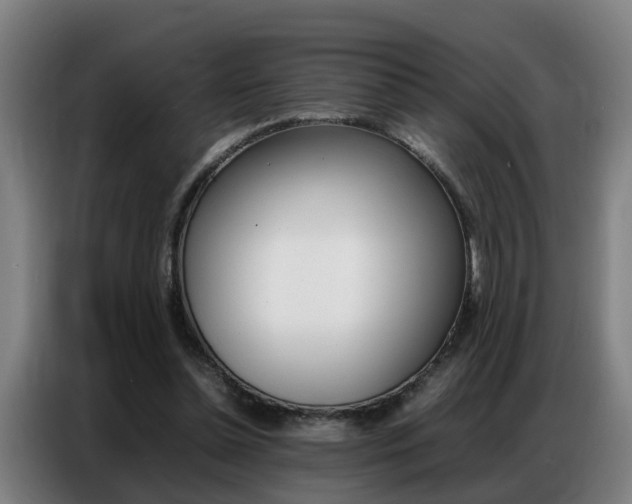 X0000087320348200704200744