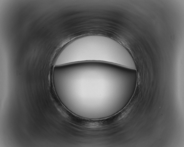 X0000087320349200704200744