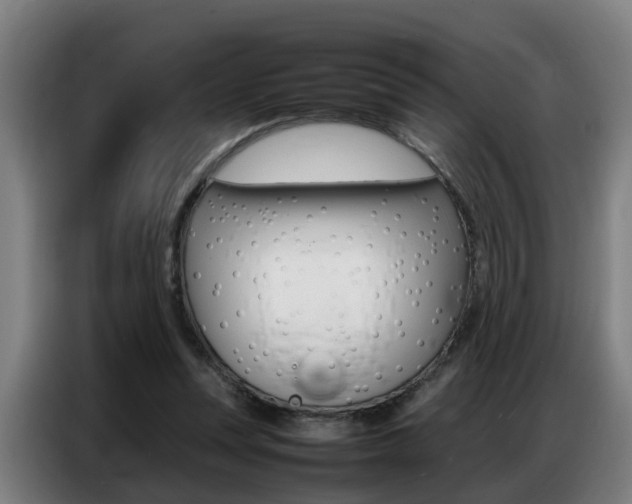X0000087320351200704200744