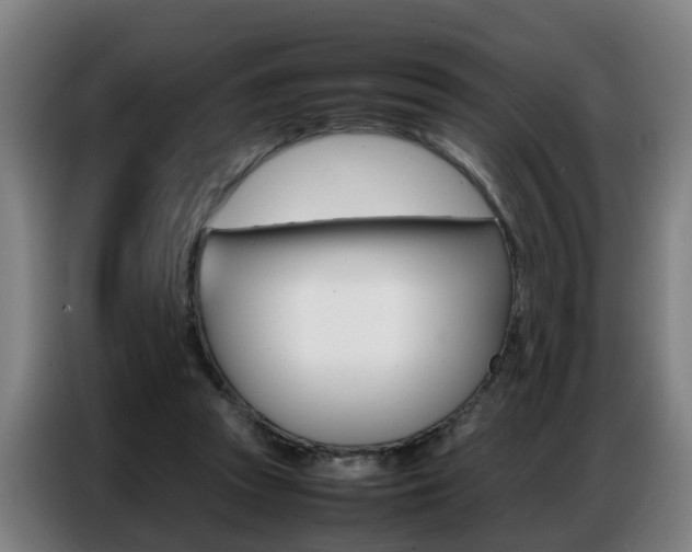 X0000087320353200704200744