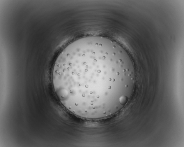 X0000087320354200704200744