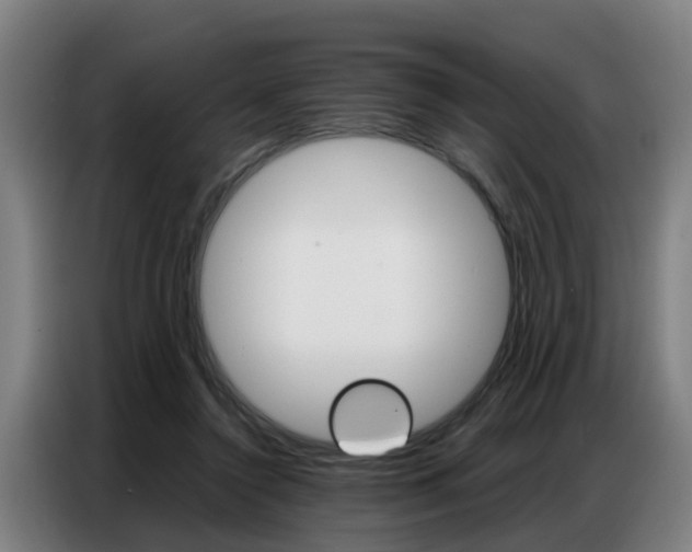X0000087320356200704200744
