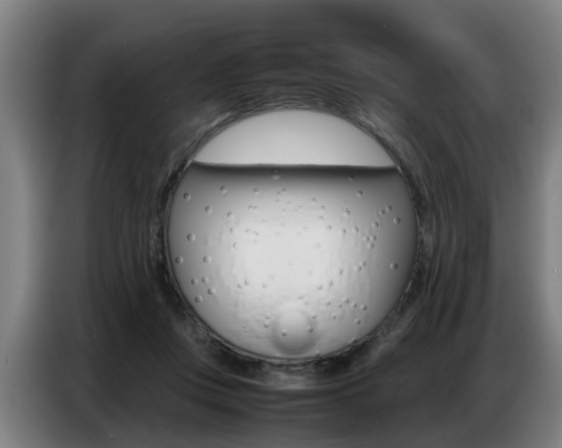 X0000087320359200704200744