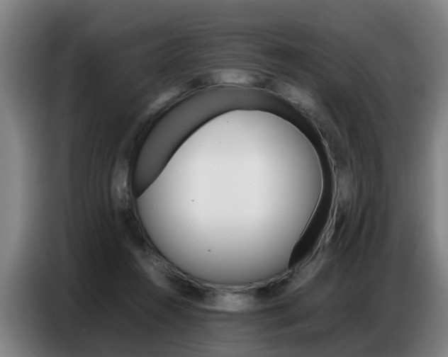 X0000087320360200704200744