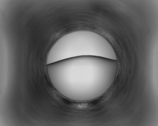 X0000087320361200704200744