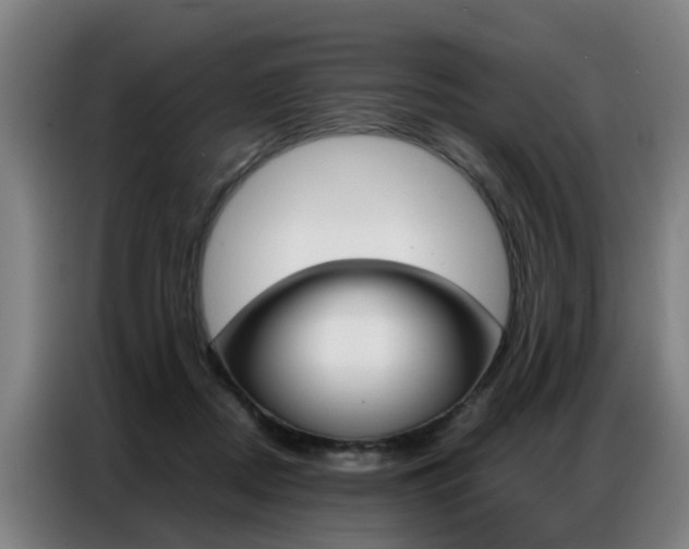 X0000087320362200704200744
