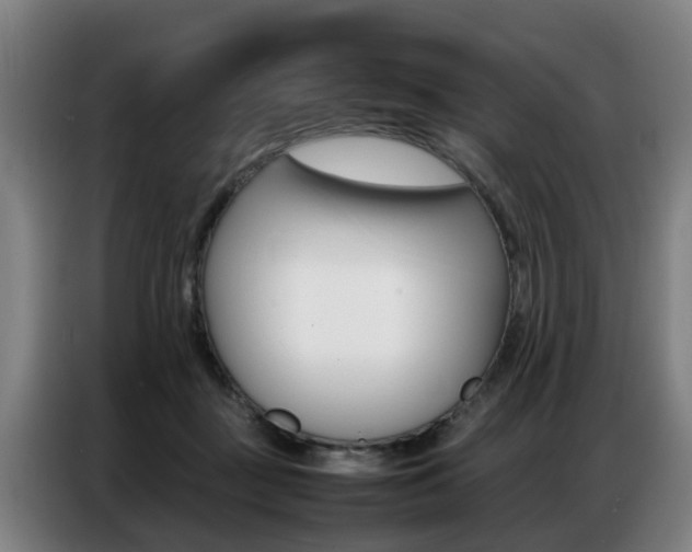 X0000087320363200704200744