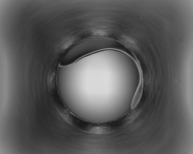X0000087320364200704200744