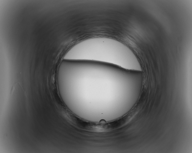 X0000087320365200704200744