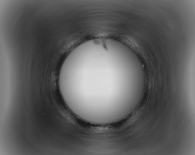 X0000087320366200704200744