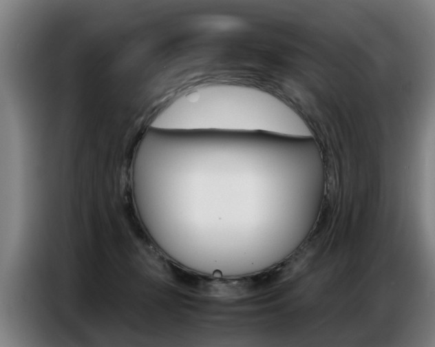 X0000087320367200704200744