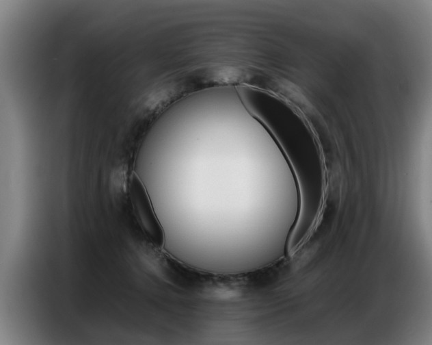 X0000087320368200704200744