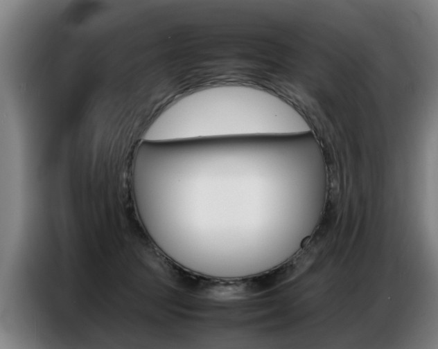 X0000087320369200704200744