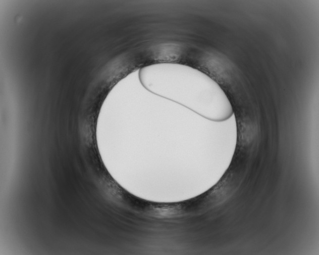 X0000087320370200704200744