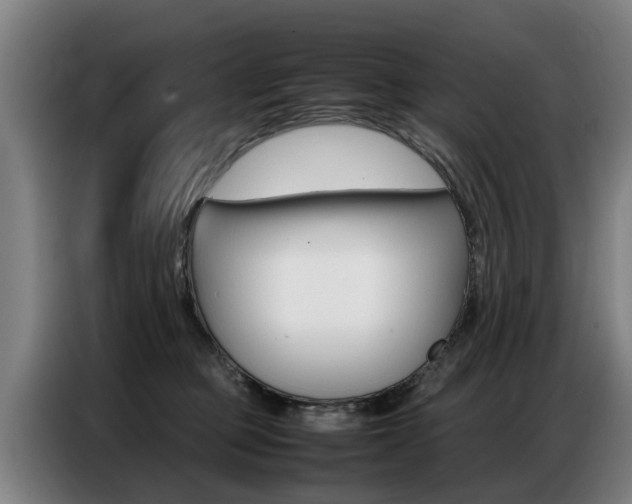 X0000087320373200704200744