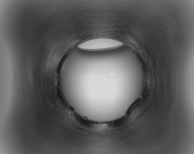 X0000087320374200704200744
