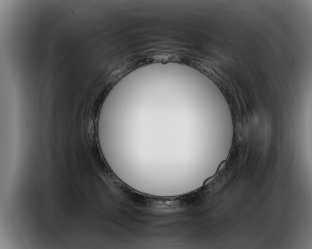 X0000087320375200704200744