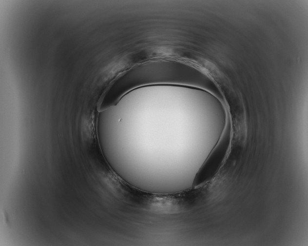 X0000087320376200704200744