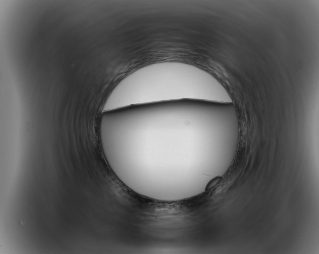 X0000087320377200704200744