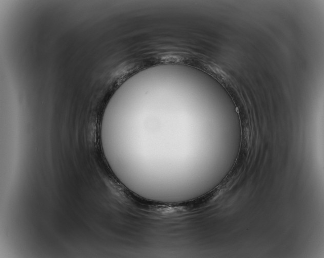 X0000087320379200704200744