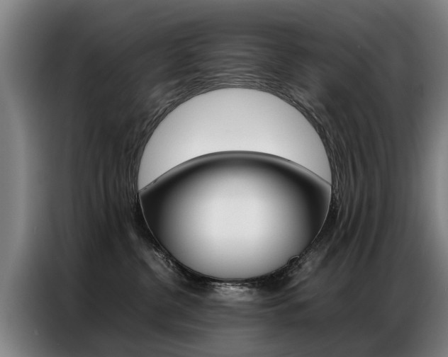 X0000087320380200704200744