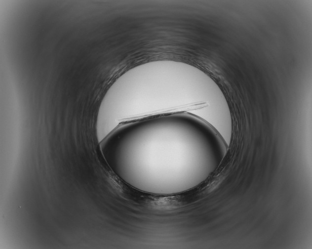 X0000087320382200704200744