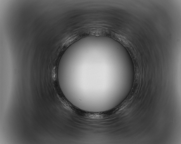 X0000087320383200704200744